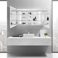 Cassini II Lighted Bathroom Cabinet Vanity Mirror