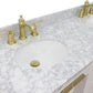 61 in. Double Sink Vanity in White Finish with White Carrara Marble and Oval Sink, Trento Collections